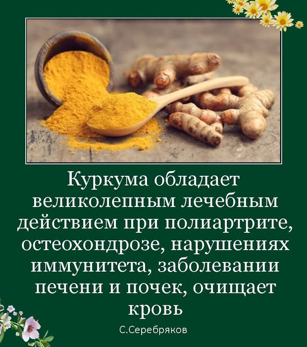 aAY4YlAXWbk (620x700, 95Kb)