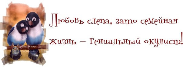 5672049_1372616347_frazochki9 (604x223, 23Kb)