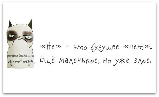 5672049_1372616422_frazochki31 (604x370, 22Kb)