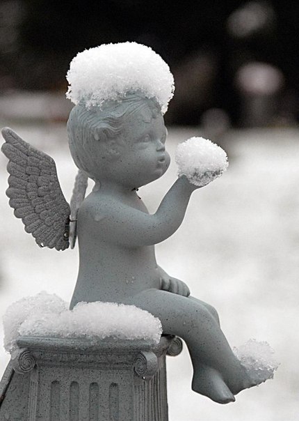 Snow (430x604, 48Kb)