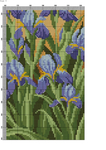  Peacock-009 (494x700, 398Kb)