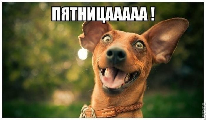 IMG_2801.JPG 7396449 (700x408,) ее ведет Наталья – энтузиаст, живя у моря, что шашлыкам быть!</p><br /><p>Мой мангал с костром:</p><br /><p>Вот мясцо в маринаде (маринад вкуснющий-пресмачнючий вышел))</p><br /><p>Вот на шампурах</p><br /><p>Часок над горячим дымом и углем</p><br /><p>Очень мягкие даже на мамины пожилые зубы, на ул..</p><p><img alt=