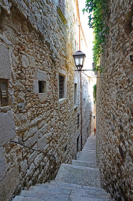 girona_españa_3 (463x700, 473Kb)