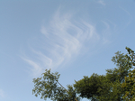  P6250008 (700x523, 421Kb)