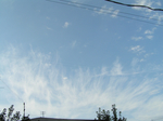  P6260012 (700x523, 376Kb)