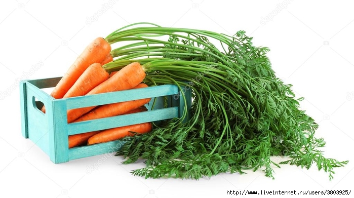 depositphotos_82064748-stock-photo-fresh-carrots-in-wooden-crate (700x391, 186Kb)