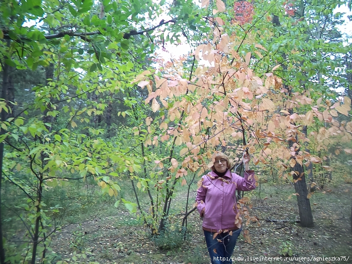 певица люся калгина биография. Смотреть фото певица люся калгина биография. Смотреть картинку певица люся калгина биография. Картинка про певица люся калгина биография. Фото певица люся калгина биография