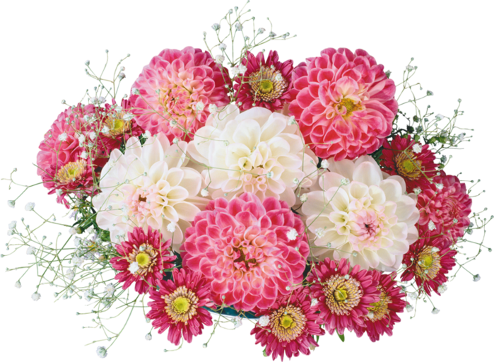 0_95ee5_ba9bd955_XL (700x512, 587Kb)
