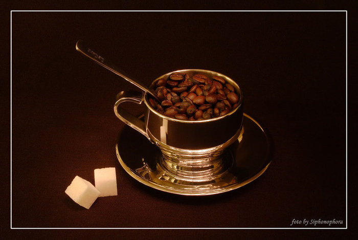 a_cup_of_coffee_by_shinshilla1996-d3fbpxf (700x469, 52Kb)