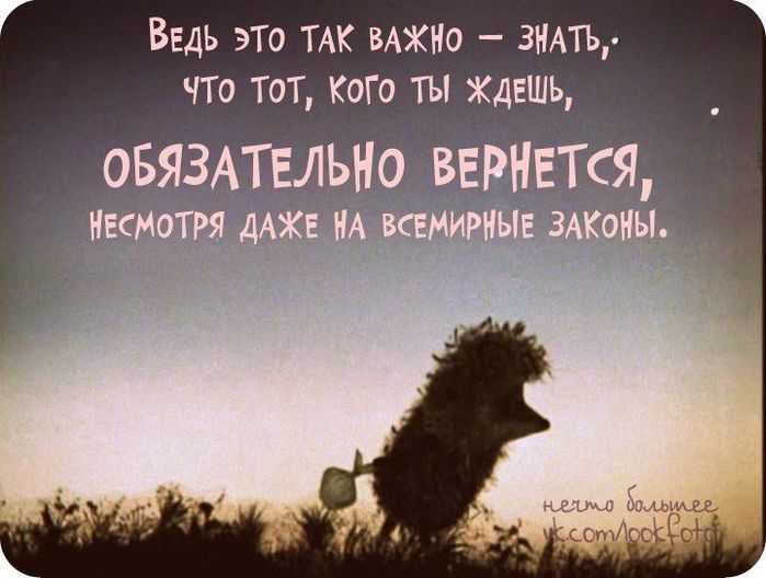a6b174ea97ca907a117c9f8d3e740d6e--law-book-jacket (700x528, 57Kb)