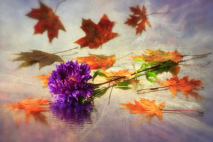 6378871_large (700x466, 418Kb)