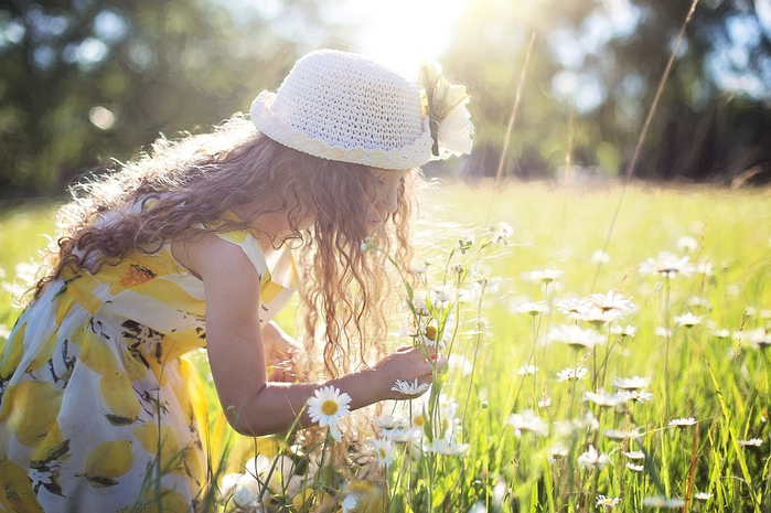 picking-flowers-2432972_960_720 (700x465, 383Kb)