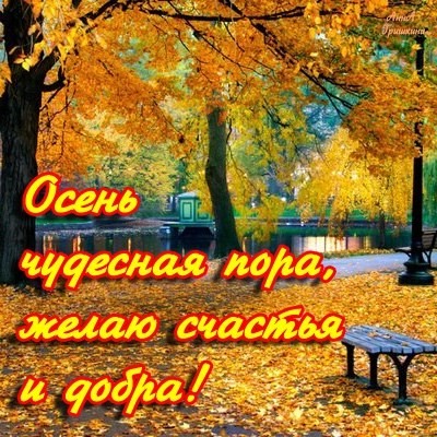 osen-zolotaya (400x400, 88Kb)