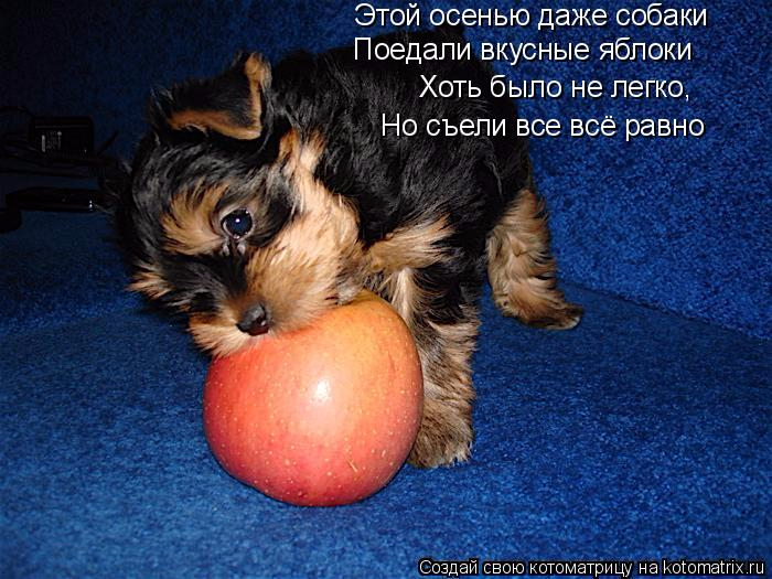 http://img0.liveinternet.ru/images/attach/d/0/137/362/137362518_5.jpg