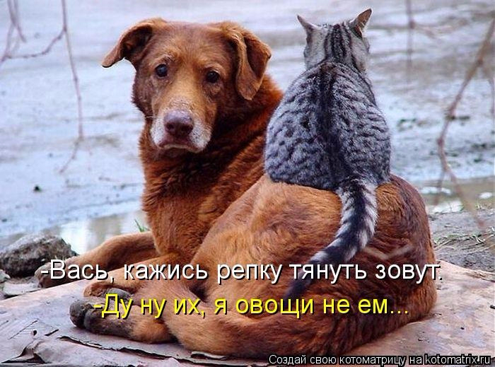 http://img0.liveinternet.ru/images/attach/d/0/137/362/137362522_8.jpg