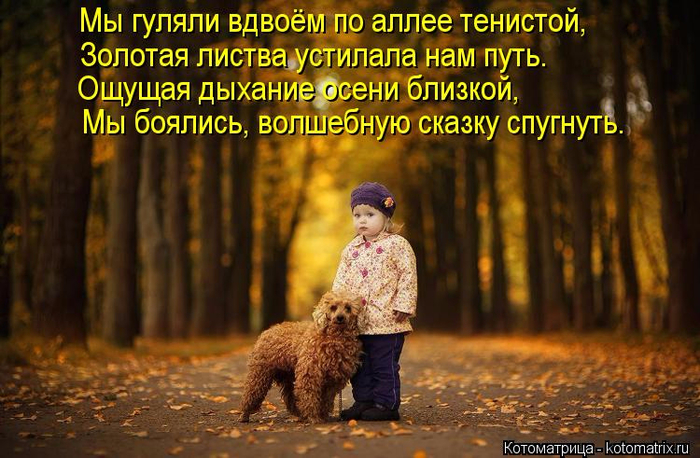 http://img0.liveinternet.ru/images/attach/d/0/137/362/137362524_10.jpg