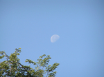  P7010130 (700x523, 408Kb)