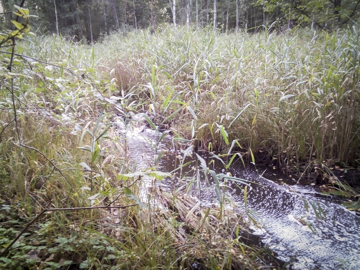4213829_IMG_20170921_174924 (700x525, 379Kb)