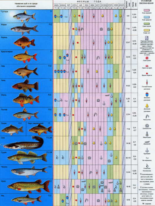 Карта поклевки рыбы