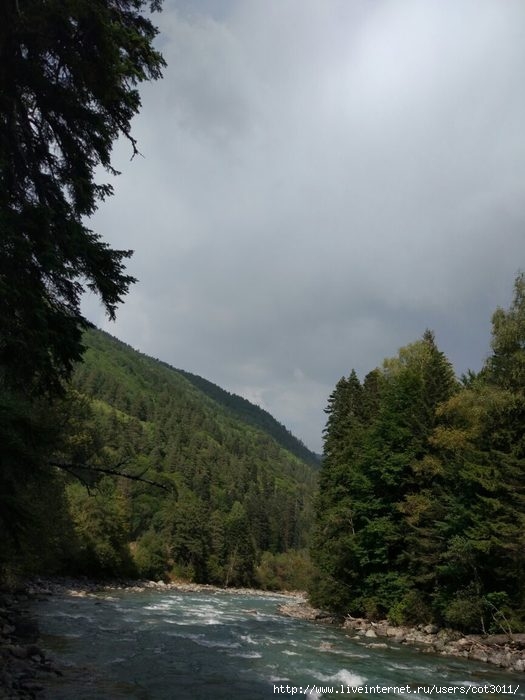 imageQQRVBVEG (525x700, 165Kb)