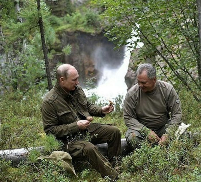 Фото Путина Шойгу Лаврова