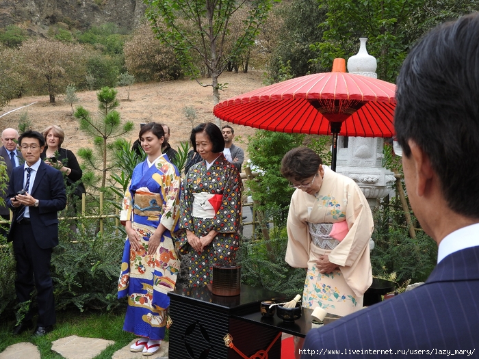 DSCN8845 (700x525, 400Kb)