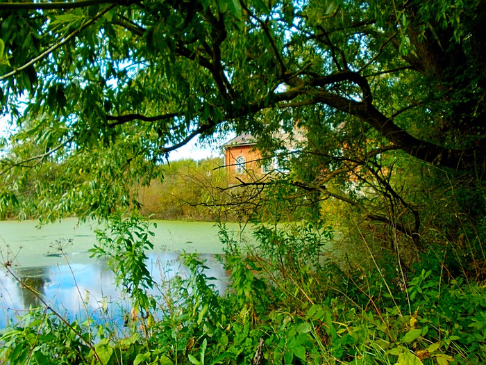 photofacefun_com_1506536742 (700x525, 673Kb)