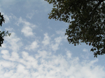 P7140022 (700x523, 430Kb)
