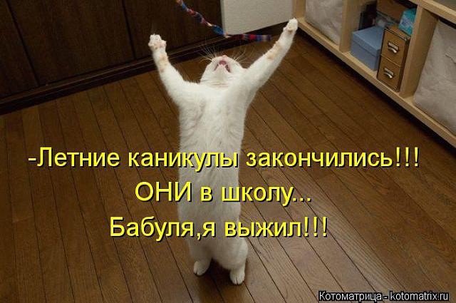 Последние дни каникул картинки прикольные, анимационные весна анимация