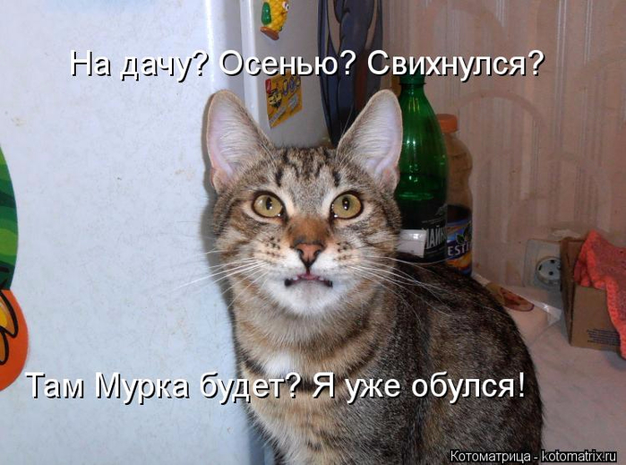 http://img0.liveinternet.ru/images/attach/d/0/137/565/137565168_0.jpg