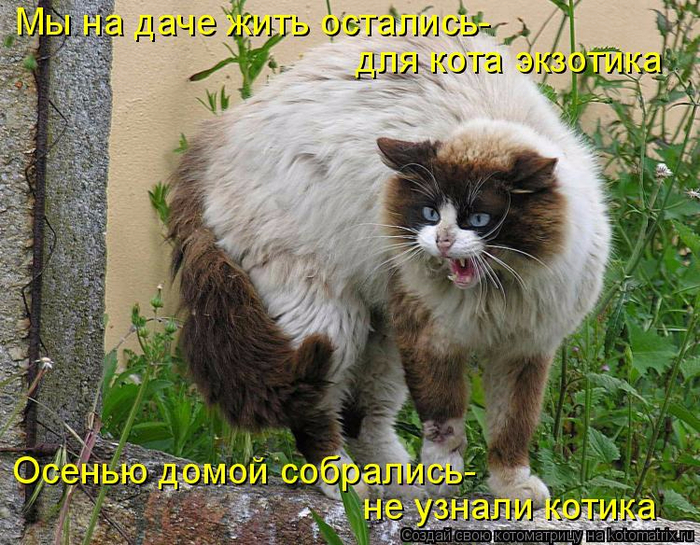 http://img0.liveinternet.ru/images/attach/d/0/137/565/137565170_925590.jpg