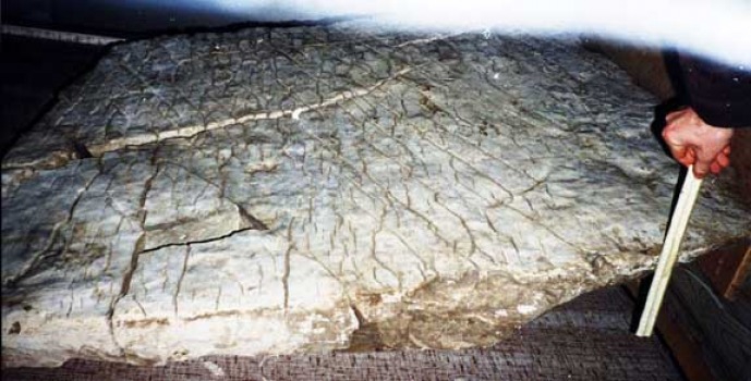 6098670_foto2_Plita_Chyvirova (689x350, 151Kb)