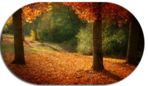  137546336_5685413_tumblr_lt1azasp8E1r4flnio1_500_large (302x175, 110Kb)