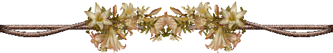 23148006_d9c055fa6b6a (478x77, 24Kb)