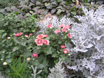  P7220004 (700x523, 522Kb)