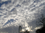  P7260049 (700x523, 396Kb)