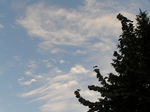  P7260051 (700x523, 371Kb)