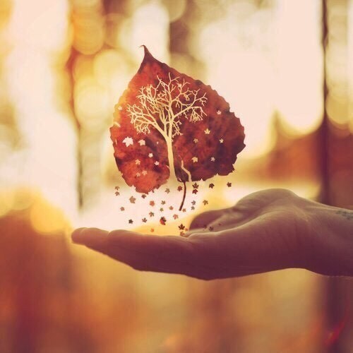 image (500x500, 37Kb)