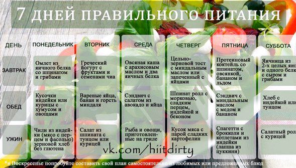  /6173941_programmapravilnogopitanija_4 (589x335, 69Kb)