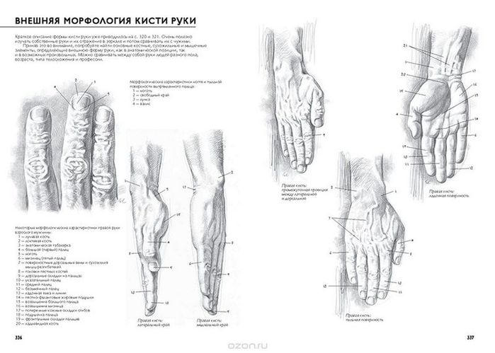 Вы научитесь рисовать к концу этой книги pdf