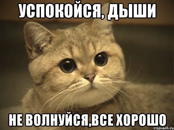 4514057_14027880629681 (604x453, 56Kb)
