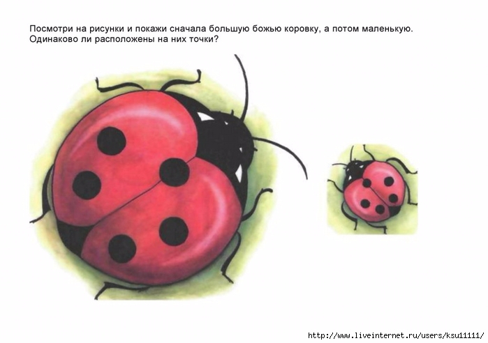 razvitie_i_kor_grafomotornyh_navykoe_u_detey_5_7l_v_ch_1.page41 (700x492, 130Kb)