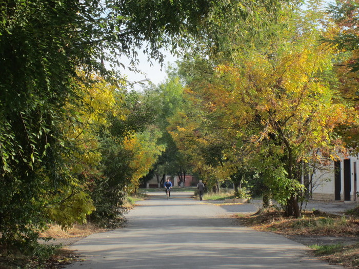 IMG_2685 (700x525, 180Kb)