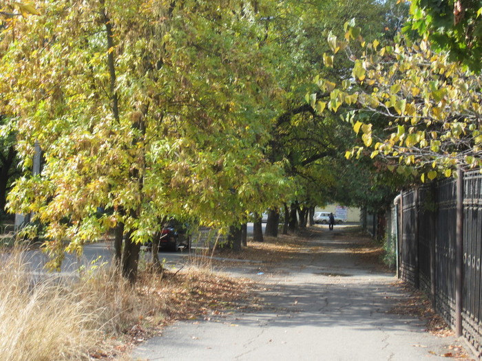 IMG_2698 (700x525, 176Kb)