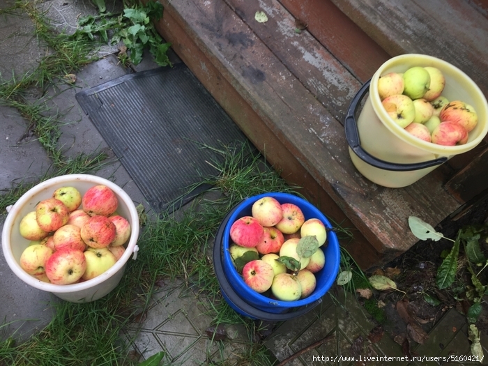 5160421_IMG_9011 (700x525, 331Kb)