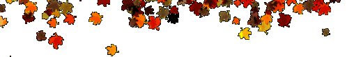 0_9a896_2b83da94_XL (498x83, 286Kb)