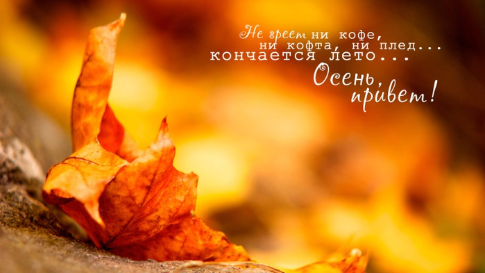 осенью жизнь начинается заново. Смотреть фото осенью жизнь начинается заново. Смотреть картинку осенью жизнь начинается заново. Картинка про осенью жизнь начинается заново. Фото осенью жизнь начинается заново