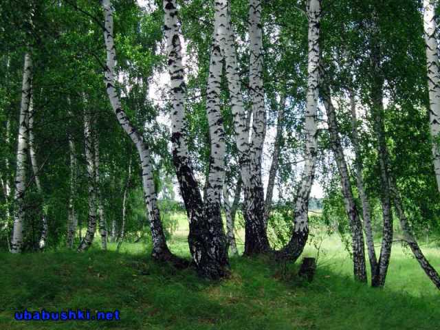  (640x480, 58Kb)
