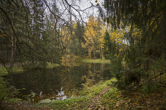 4213829__DSC8963 (700x464, 517Kb)
