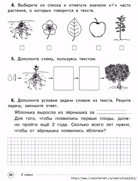 Исследовательские работы в начальной школе готовые проекты